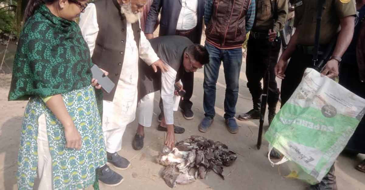 পাখি শিকারের দায়ে যুবকের কারাদণ্ড, এয়ারগান জব্দ