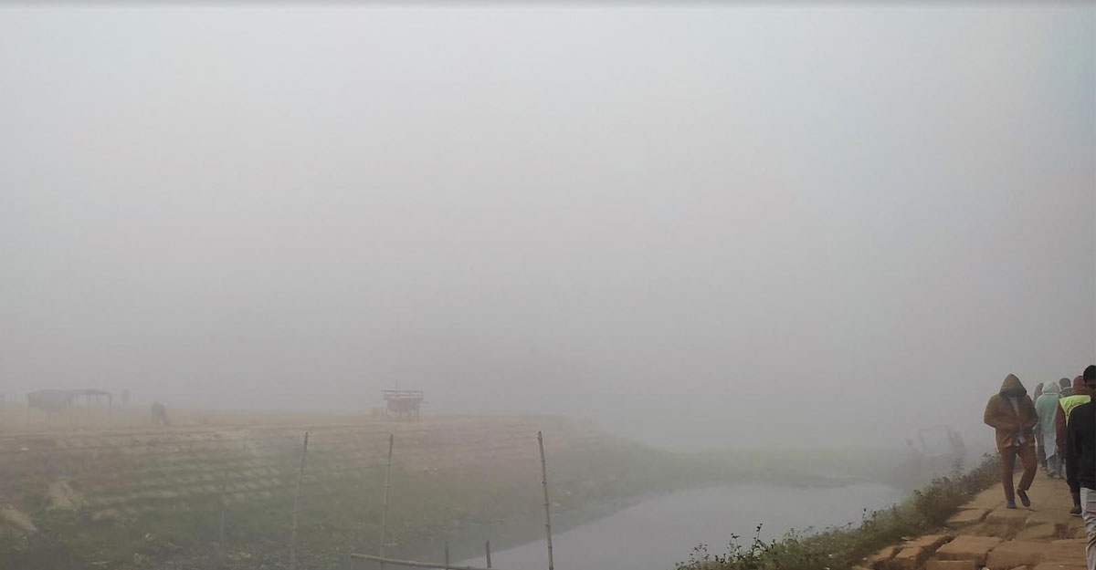 দিয়াবাড়িতে নীলগিরির ফ্লেভার