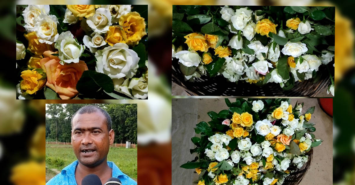 ফুল বিক্রেতা থেকে বাগানের মালিক, মাসে আয় ২ লাখ টাকা