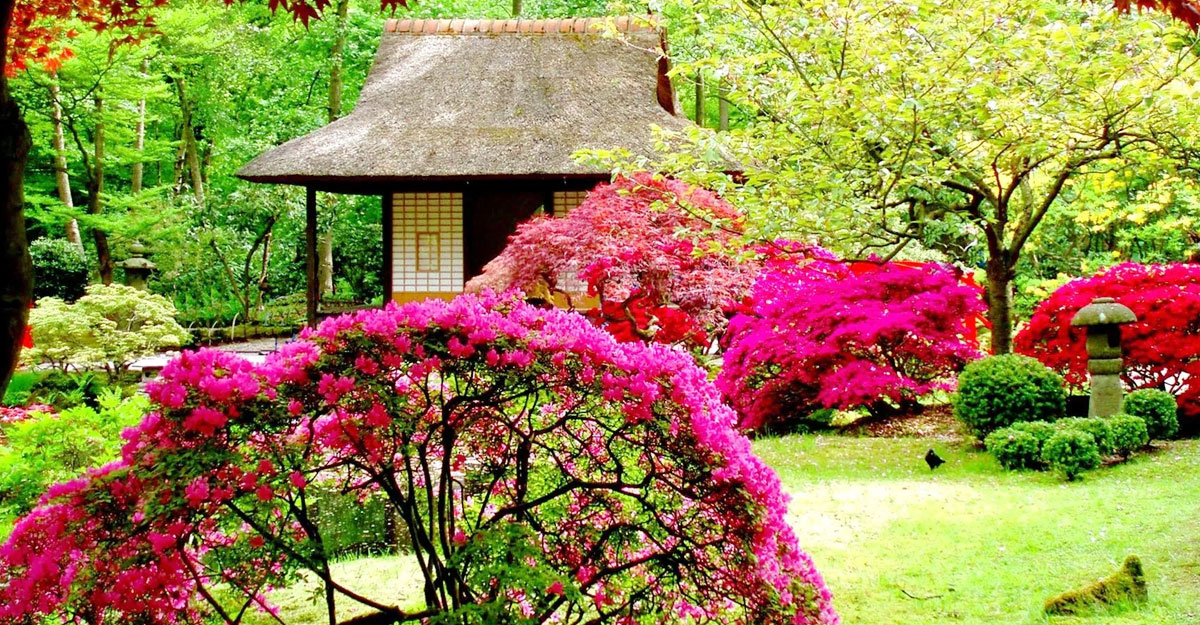 তিন কু-সংস্কার থেকে বেঁচে থাকলে বিনা হিসাবে জান্নাত