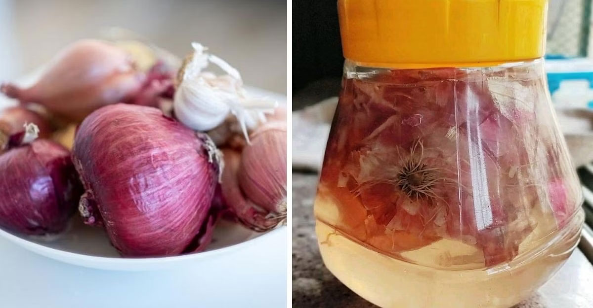 onion peel