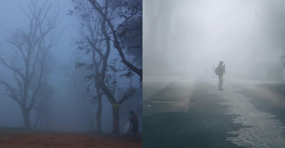 কুয়াশায় চাদরে অন্য এক সৌন্দর্যে রাবি ক্যাম্পাস