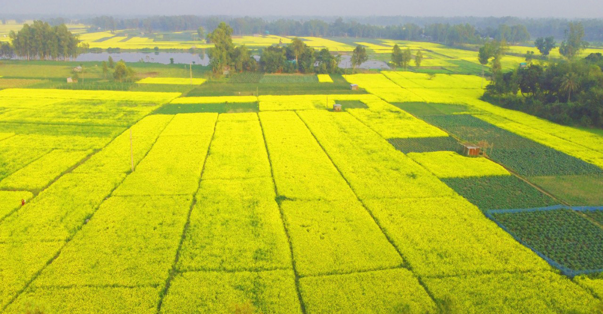 Ular bir talabani mast qilishdi va uni sikishdi (porno)