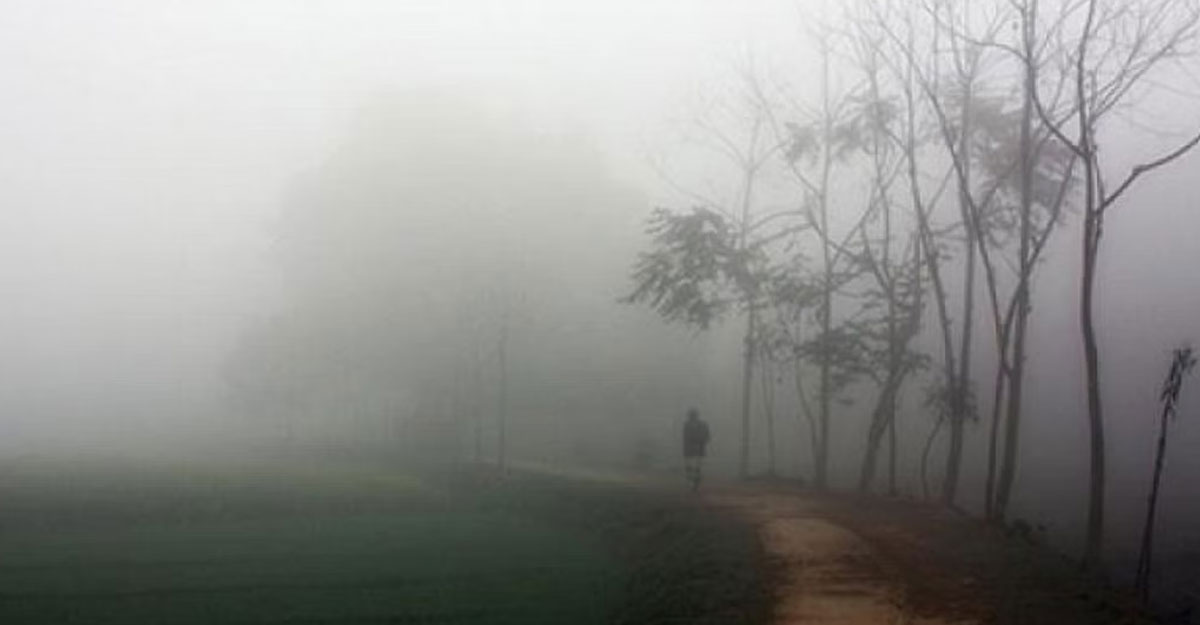 শীতে জবুথবু শ্রীমঙ্গল, তাপমাত্রা নামল ৫ ডিগ্রিতে