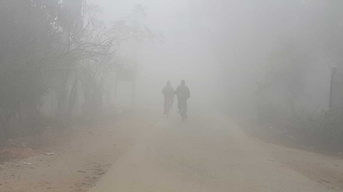 মৌসুমের সর্বনিম্ন তাপমাত্রার রেকর্ড, ২৫ জেলায় শৈত্যপ্রবাহ
