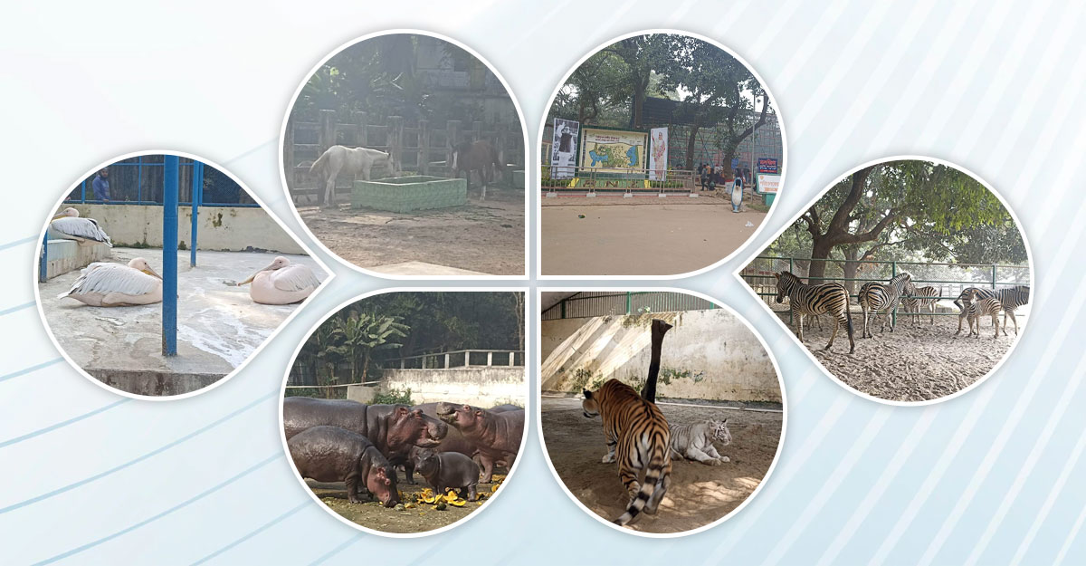 কনকনে শীতে ওরাও কাঁপছে