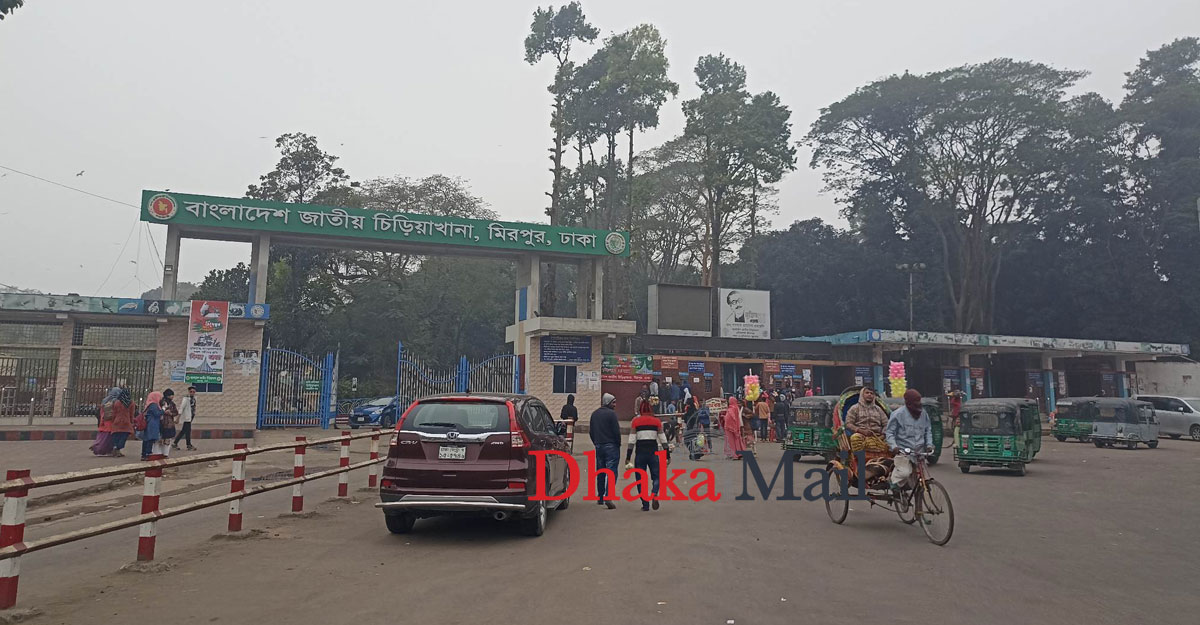 বদলে গেছে মিরপুর চিড়িয়াখানার পরিবেশ
