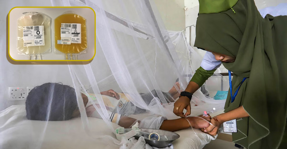 কখন, কেন প্লাটিলেট নিতে হয় ডেঙ্গু রোগীর?