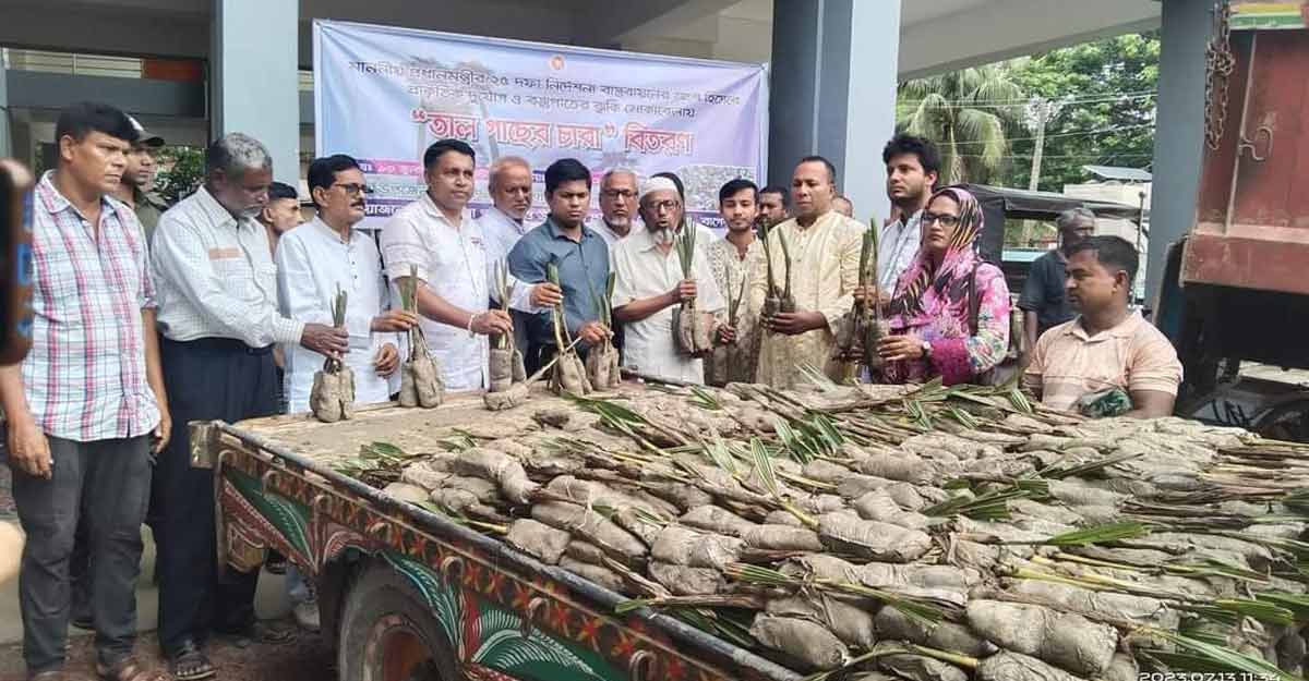 বজ্রপাত রোধে মোরেলগঞ্জে ১৫ হাজার তালের চারা বিতরণ