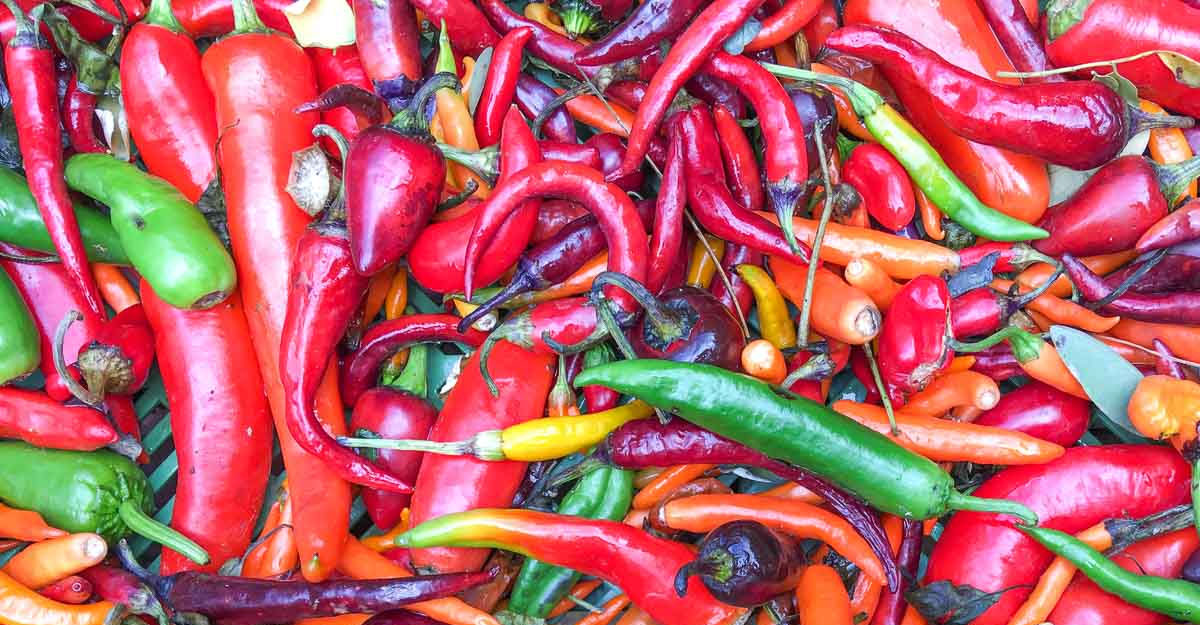 chili