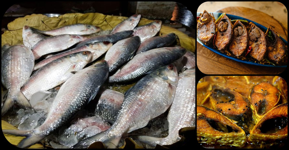 ইলিশের স্বাদ আগের মতো হয় না কেন?