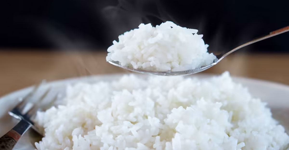 ভাতের বিকল্প ৩ খাবার