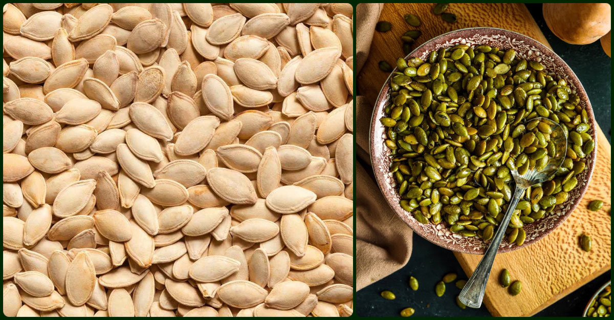 কুমড়ার বীজ খেলে পুরুষের যে উপকার হবে