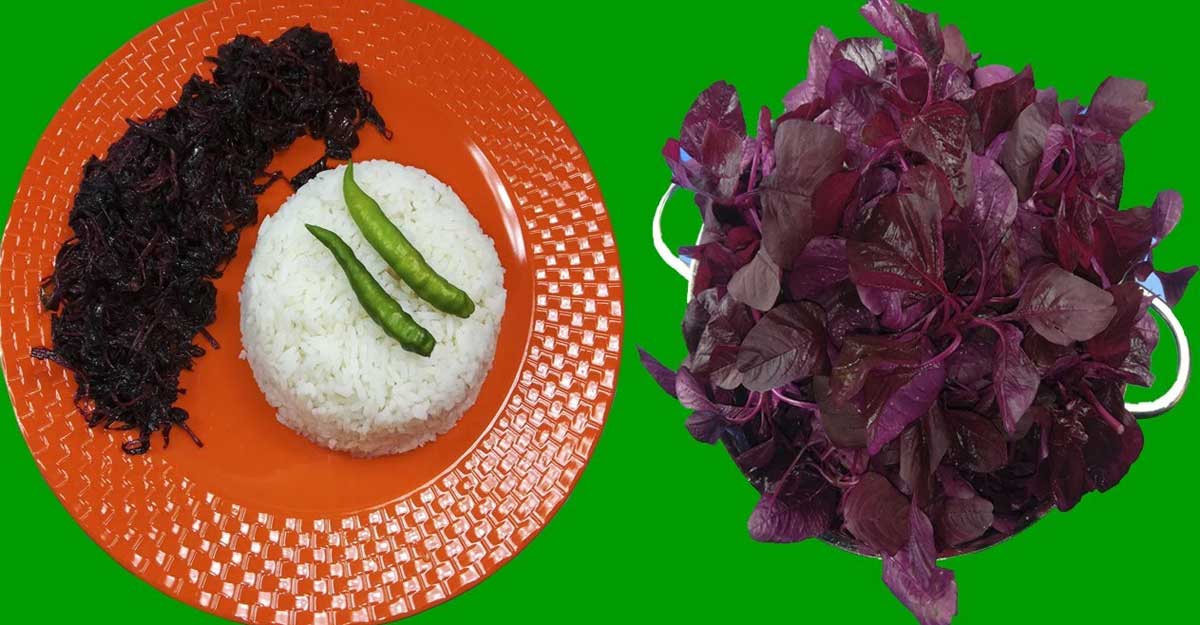 লাল শাক শুধু খেতেই সুস্বাদু নয়, রোগ নিরাময়ও করে