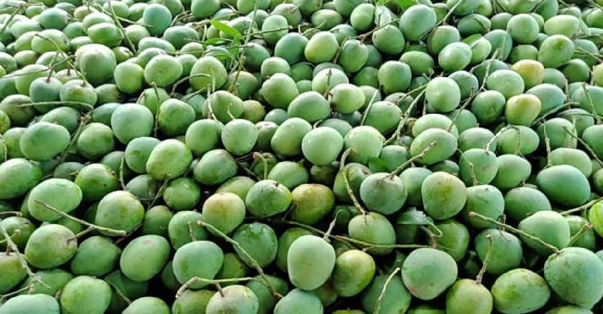 ভারতের রাষ্ট্রপতি-প্রধানমন্ত্রীকে আম উপহার পাঠালেন প্রধানমন্ত্রী