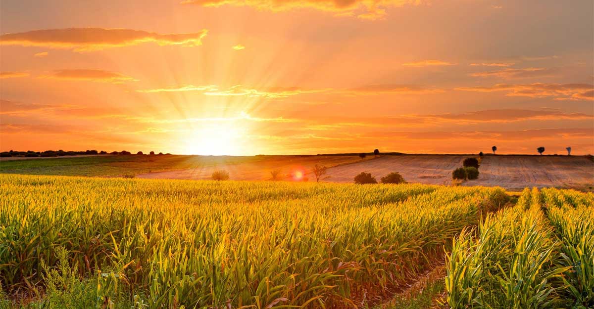 বছরের দীর্ঘতম দিন ২১ জুন