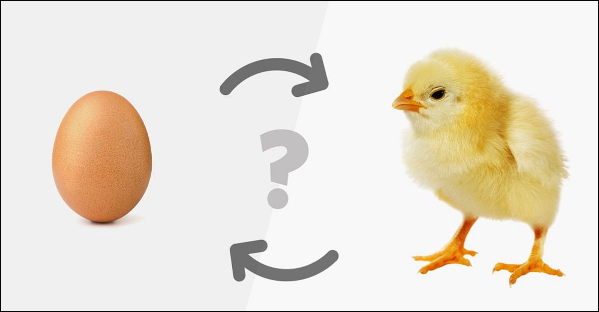 মুরগি আগে না ডিম আগে, জানাল বিজ্ঞানীরা