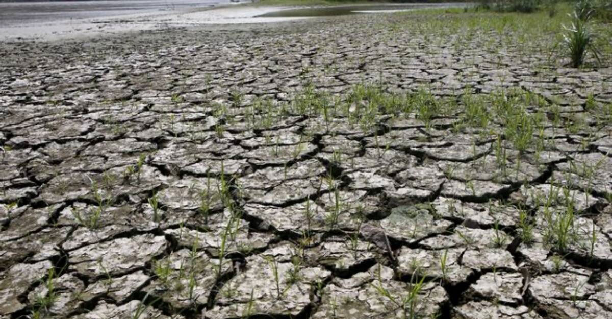 এল নিনো কী, কতটা প্রভাব পড়বে বিশ্বে?