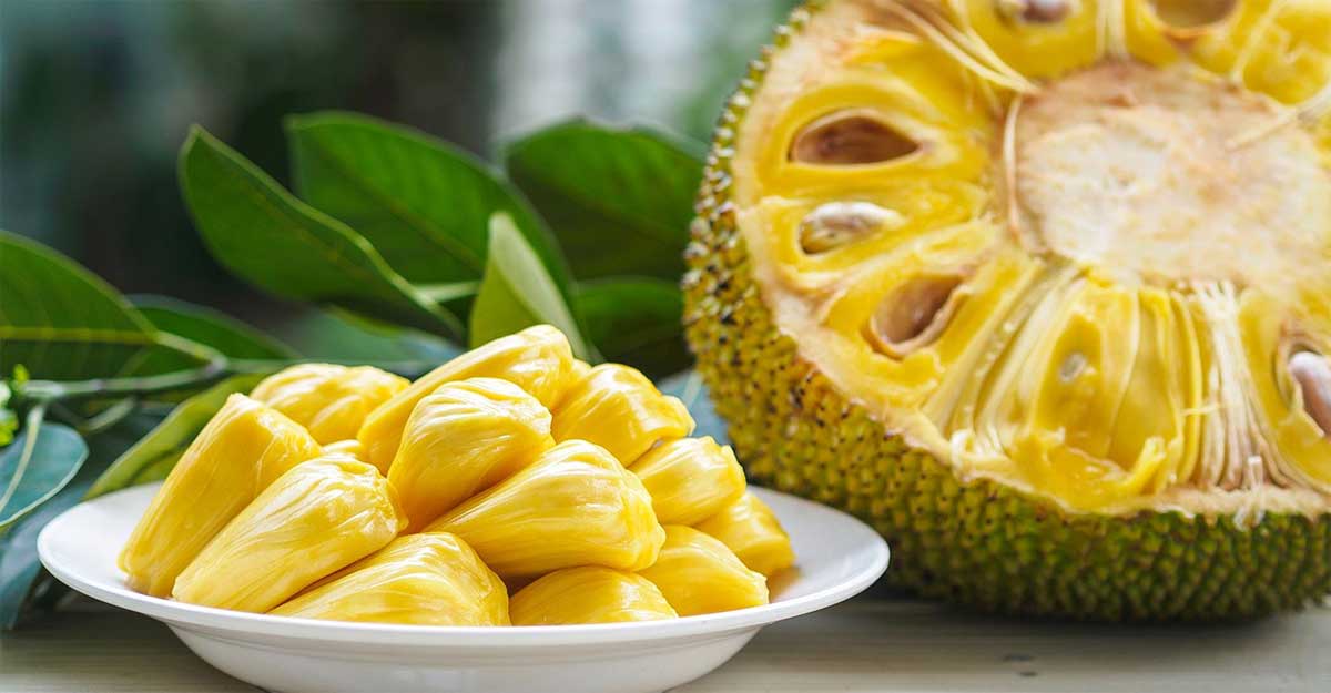 কাঁঠাল খাওয়া যাদের বারণ