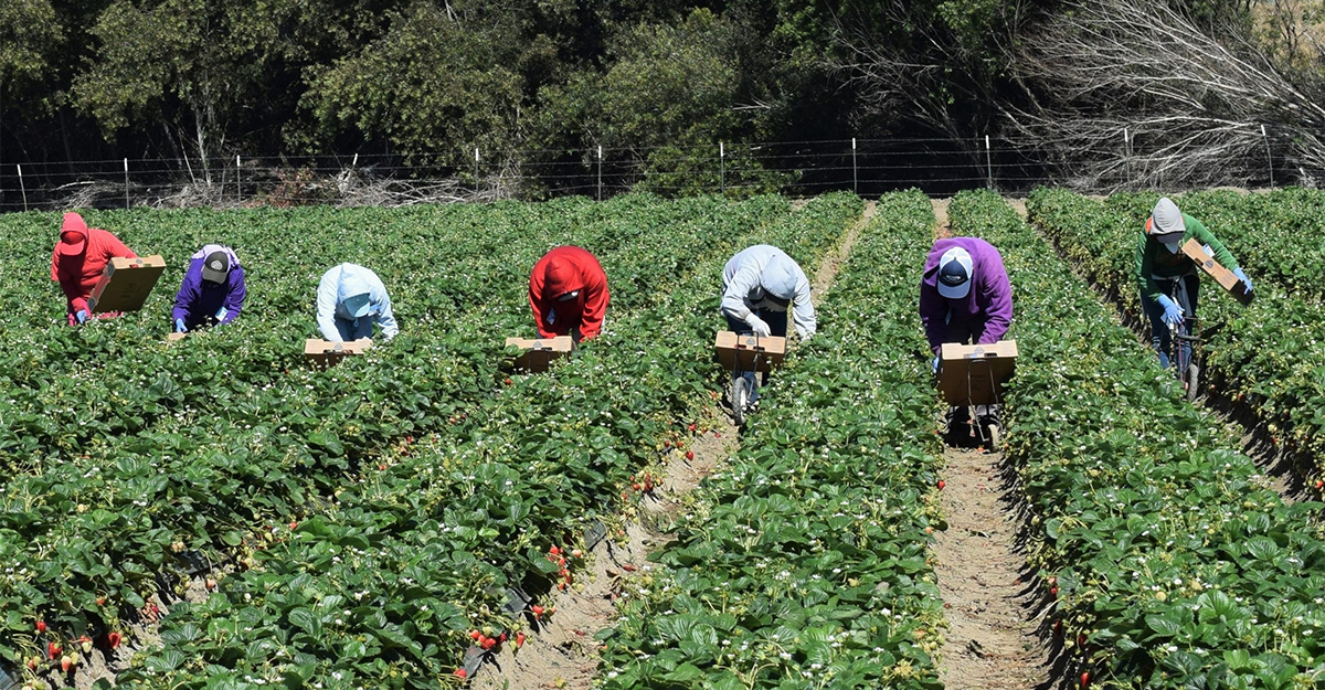 বাংলাদেশ থেকে দক্ষ শ্রমিক নেবে ইতালি