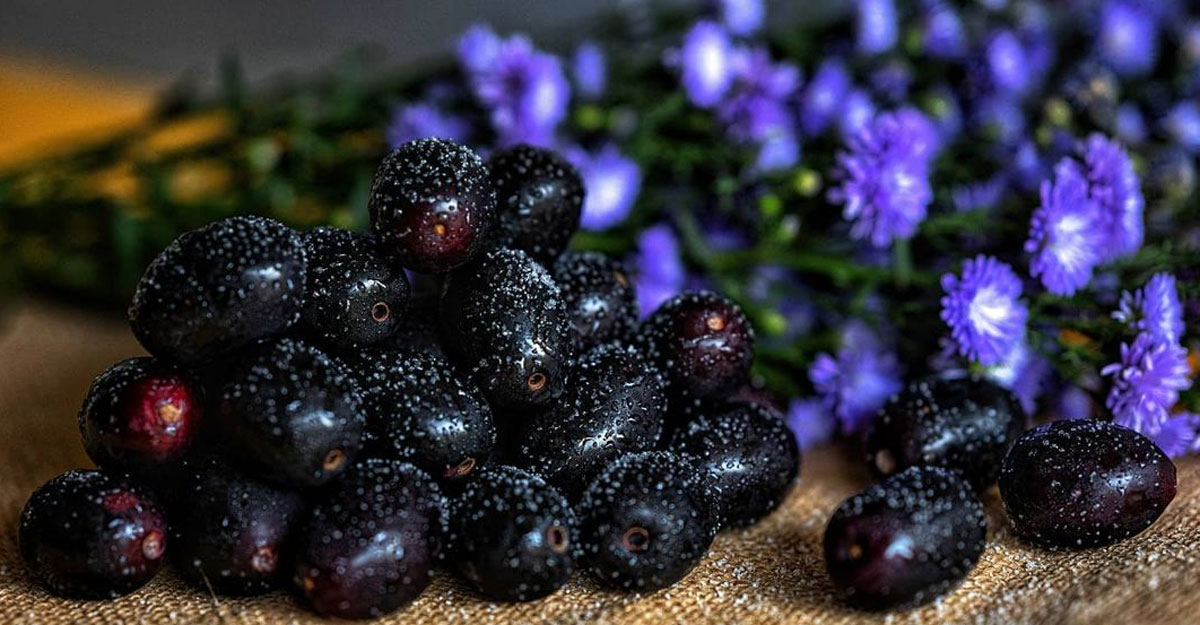 জাম খাওয়ার উপকারিতা