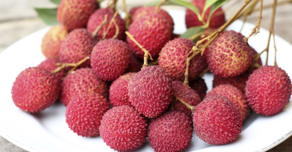 অতিরিক্ত লিচু খেলে কী হয়?