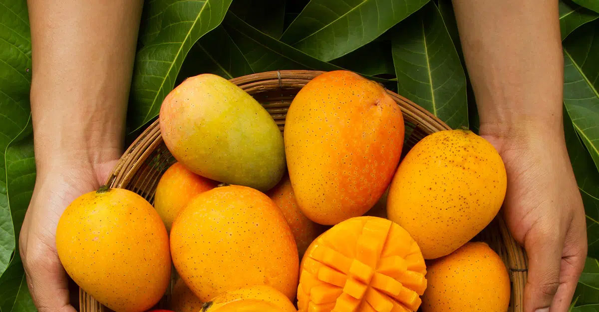 mango