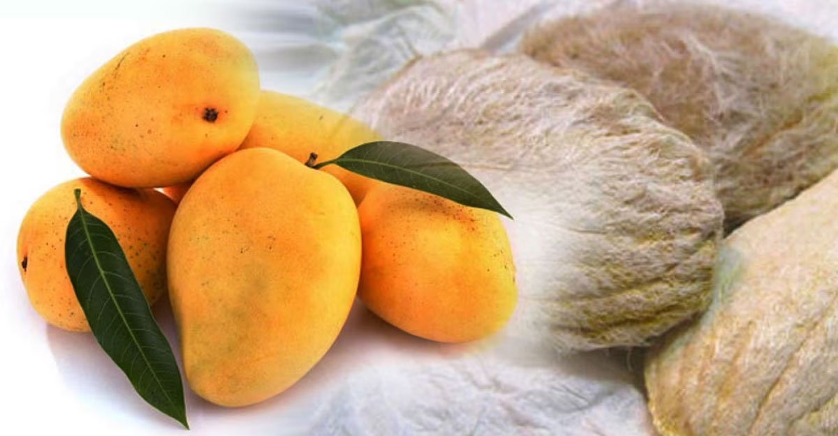 mango
