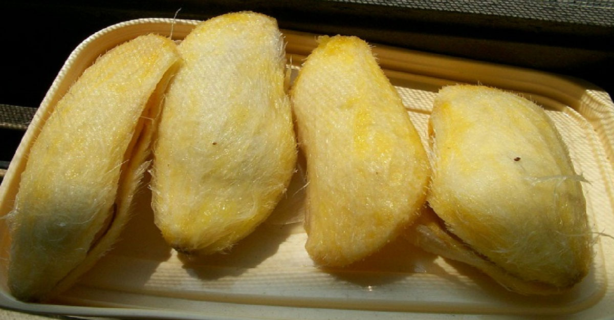 mango