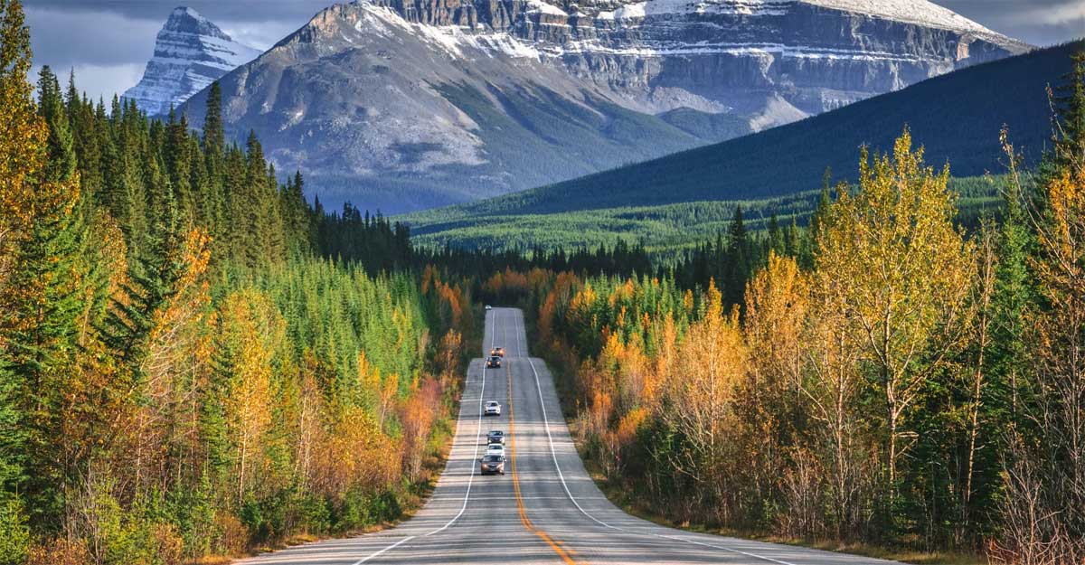 বিশ্বের দীর্ঘতম সড়ক, ৩০ হাজার কিলোমিটারে নেই কোনো বাঁক