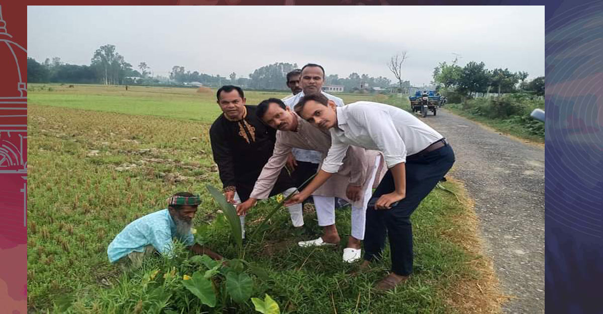 কাজিপুরে রাস্তার দু’পাশে ৪ শতাধিক তালগাছ রোপণ