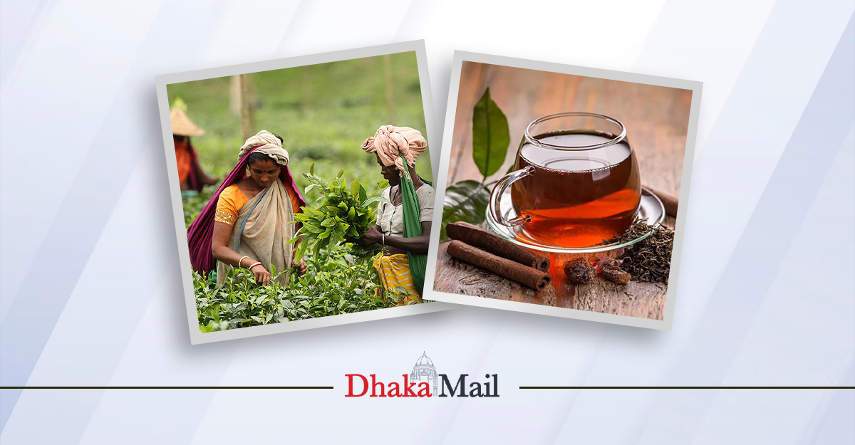 জাতীয় চা দিবস আজ