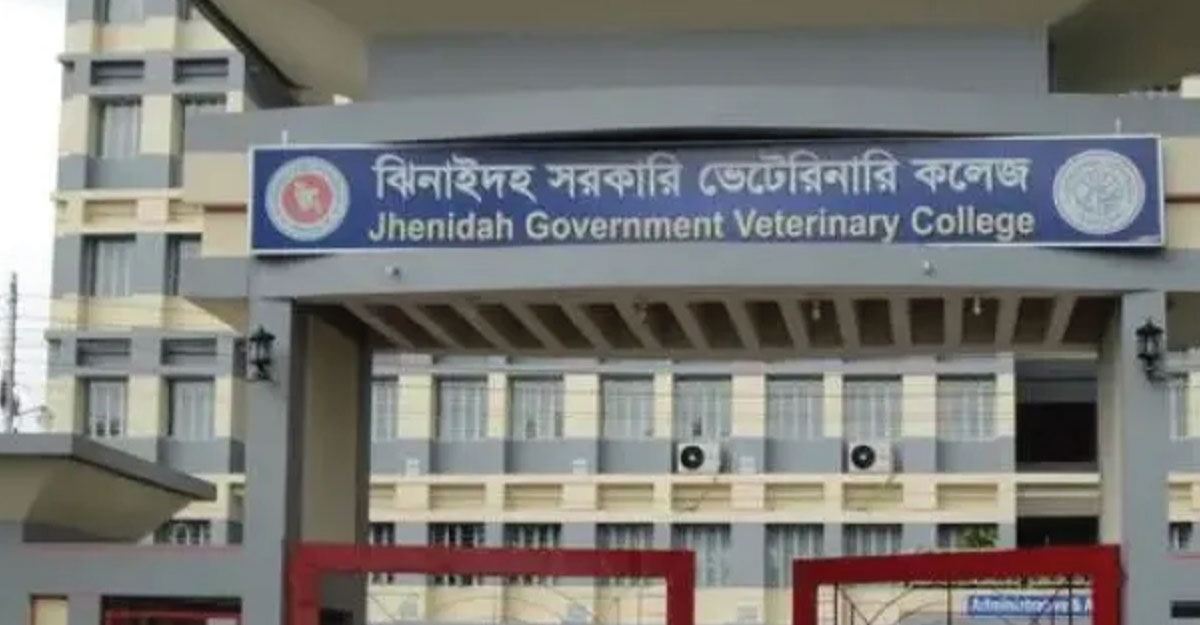 যবিপ্রবির অনুষদভুক্ত হলো ঝিনাইদহ সরকারি ভেটেরিনারি কলেজ 