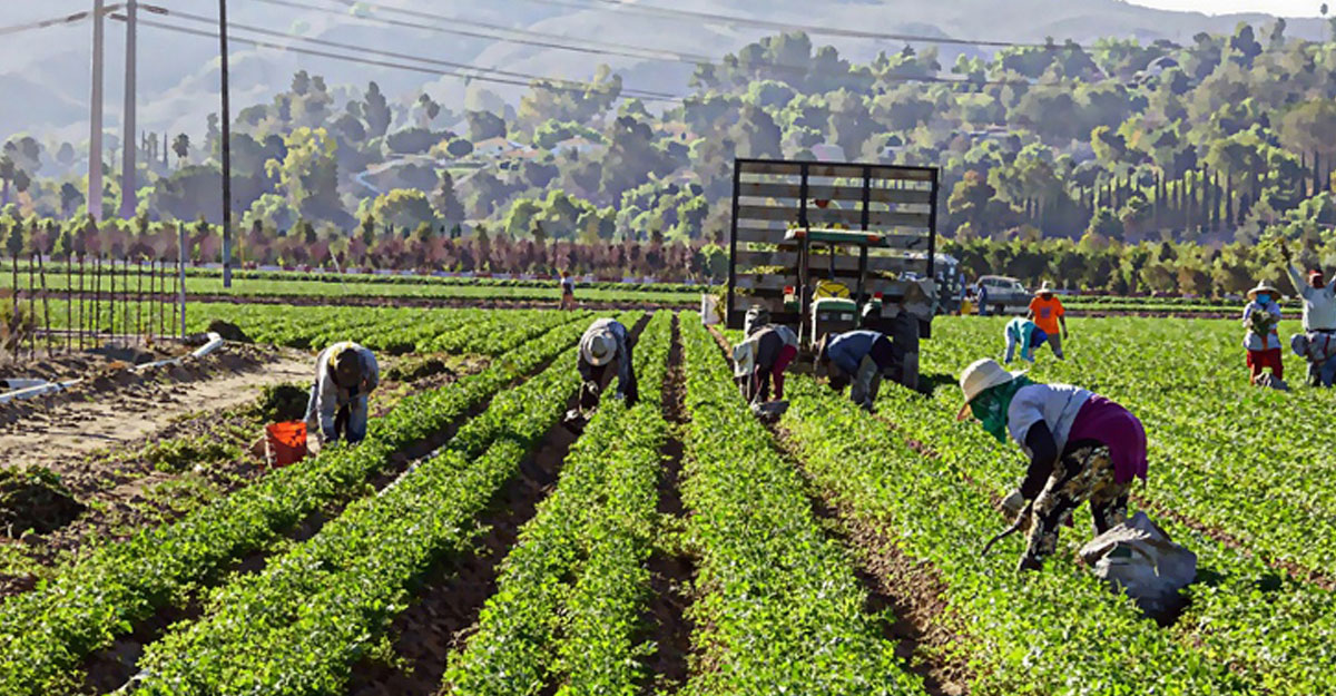 বাংলাদেশসহ ৩৩ দেশ থেকে শ্রমিক নেবে ইতালি