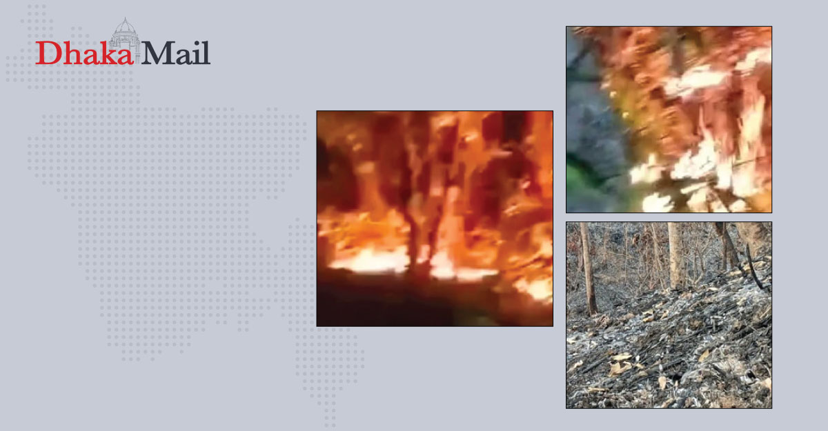 ১২ দিনে ৩ বনে ‘রহস্যজনক’ আগুন