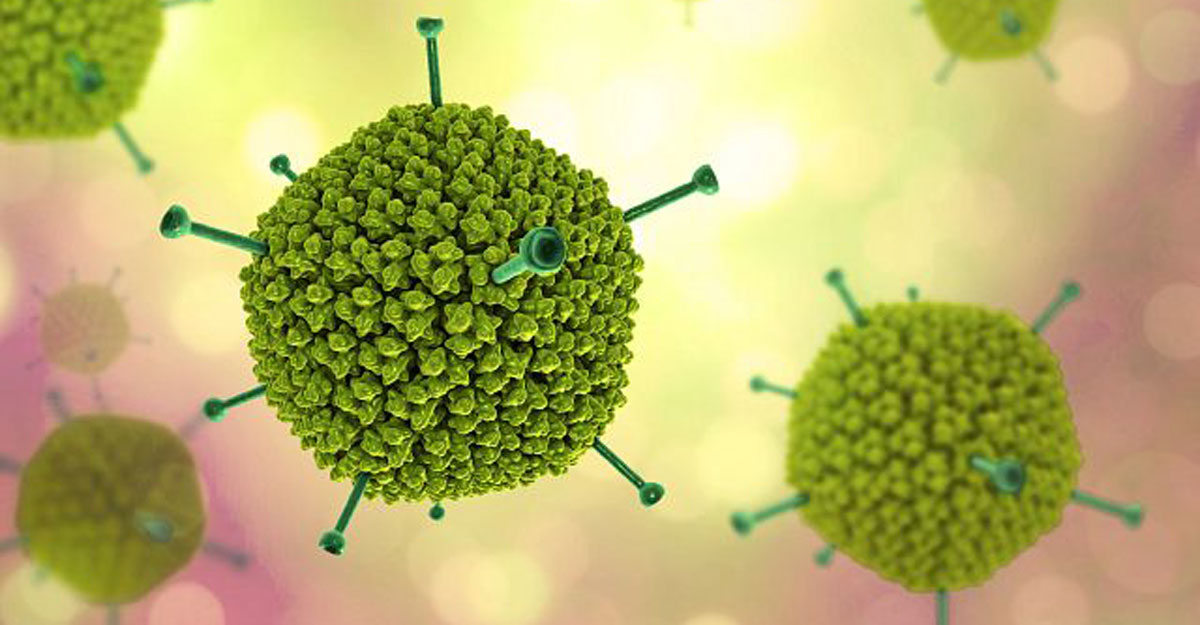 ভয়াবহ অ্যাডিনোভাইরাসে শিশু মৃত্যু বাড়ছে