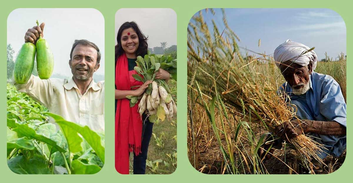 ফাল্গুন মাসে কোন ফসল চাষ করা যায়