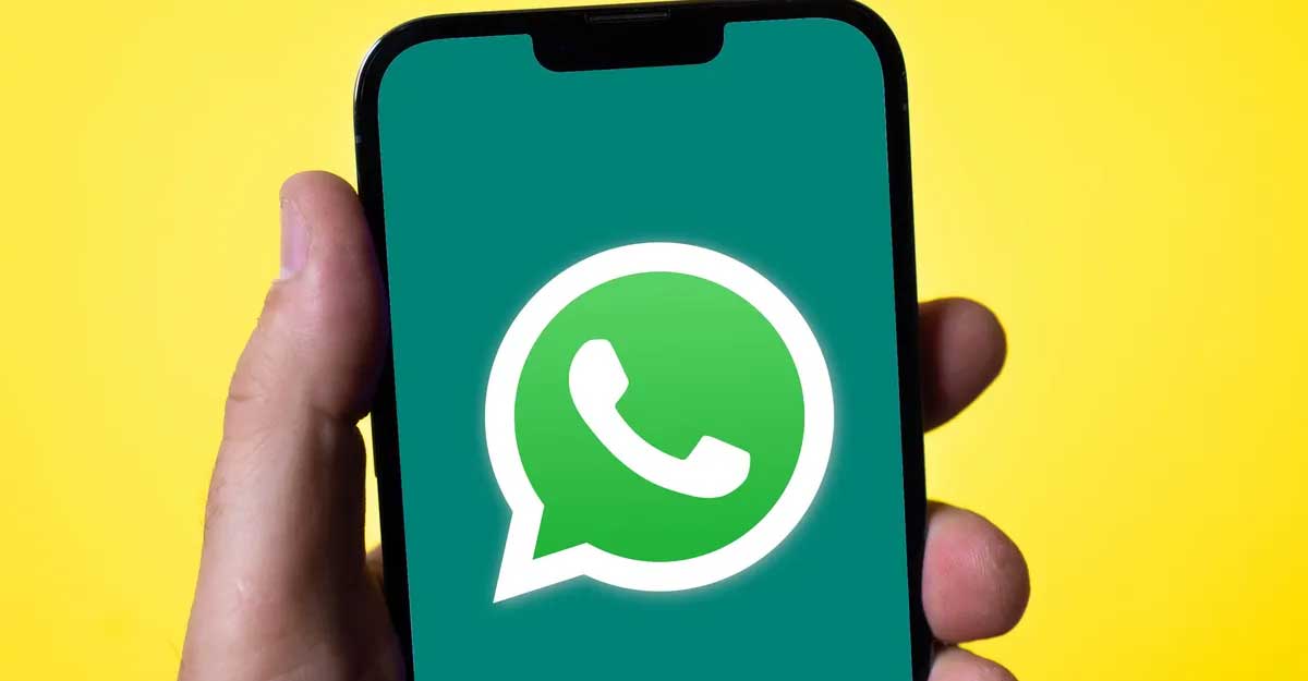 হোয়াটসঅ্যাপের অফিসিয়াল চ্যাট অ্যাকাউন্ট চালু