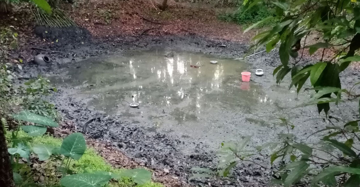 বরিশালে নিখোঁজের ২৪ দিন পর নারীর গলিত লাশ উদ্ধার