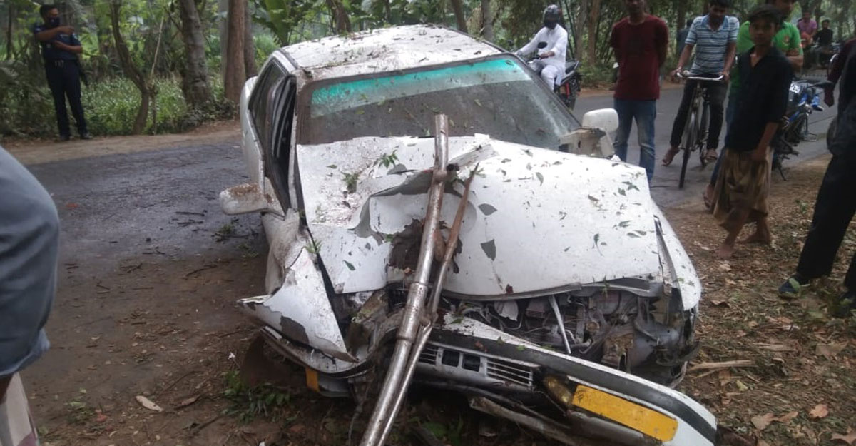 কুকুরের প্রাণ বাঁচাতে গিয়ে গাড়িচালকের মৃত্যু