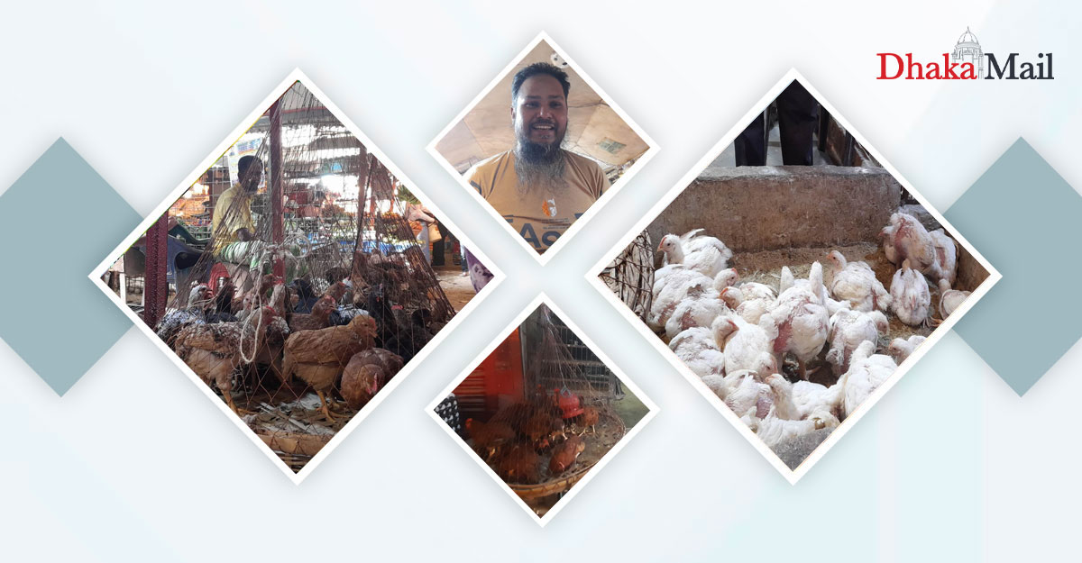 ‘যারা দুইটা মুরগি কিনতেন তারা একটা কিনতাছে’