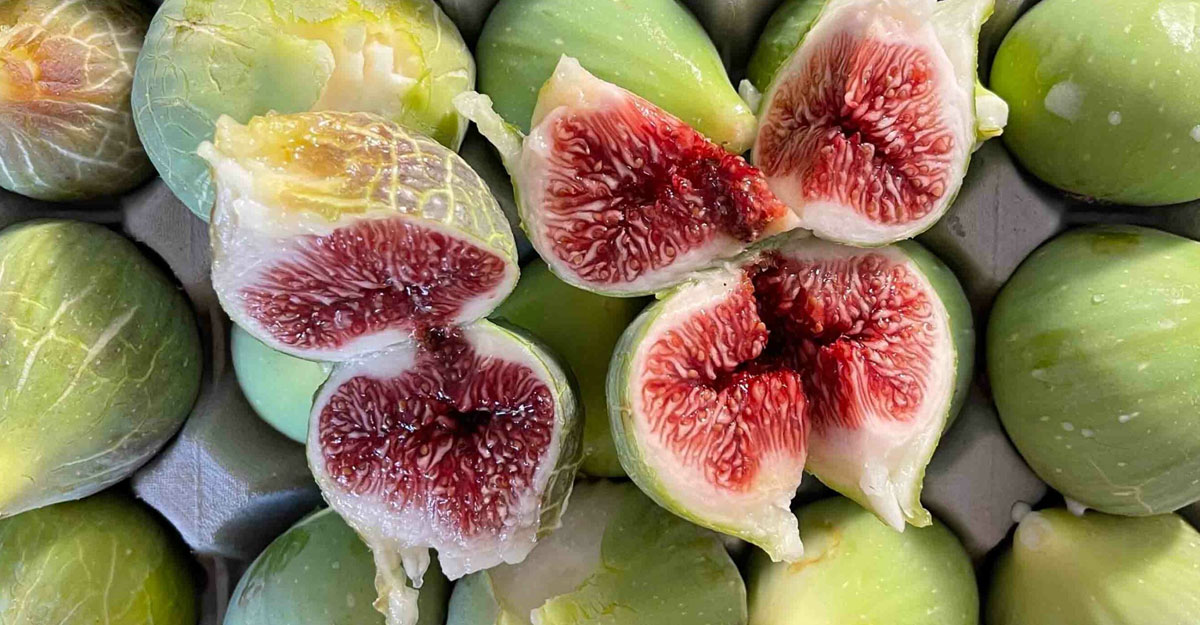 ডুমুরের যত স্বাস্থ্য উপকারিতা