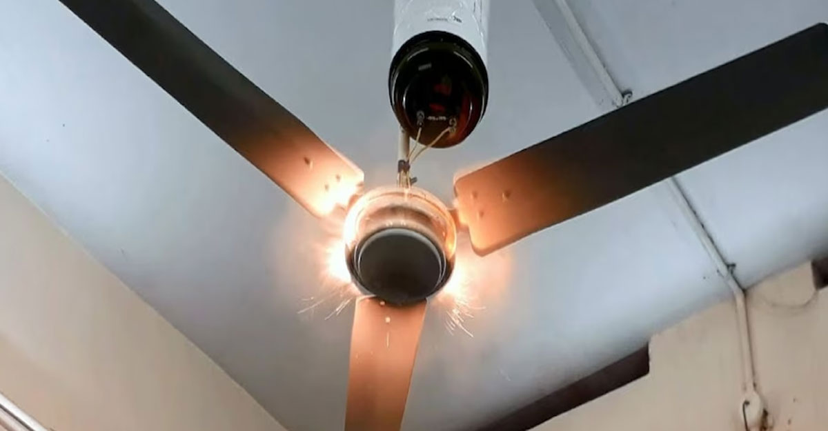 fan