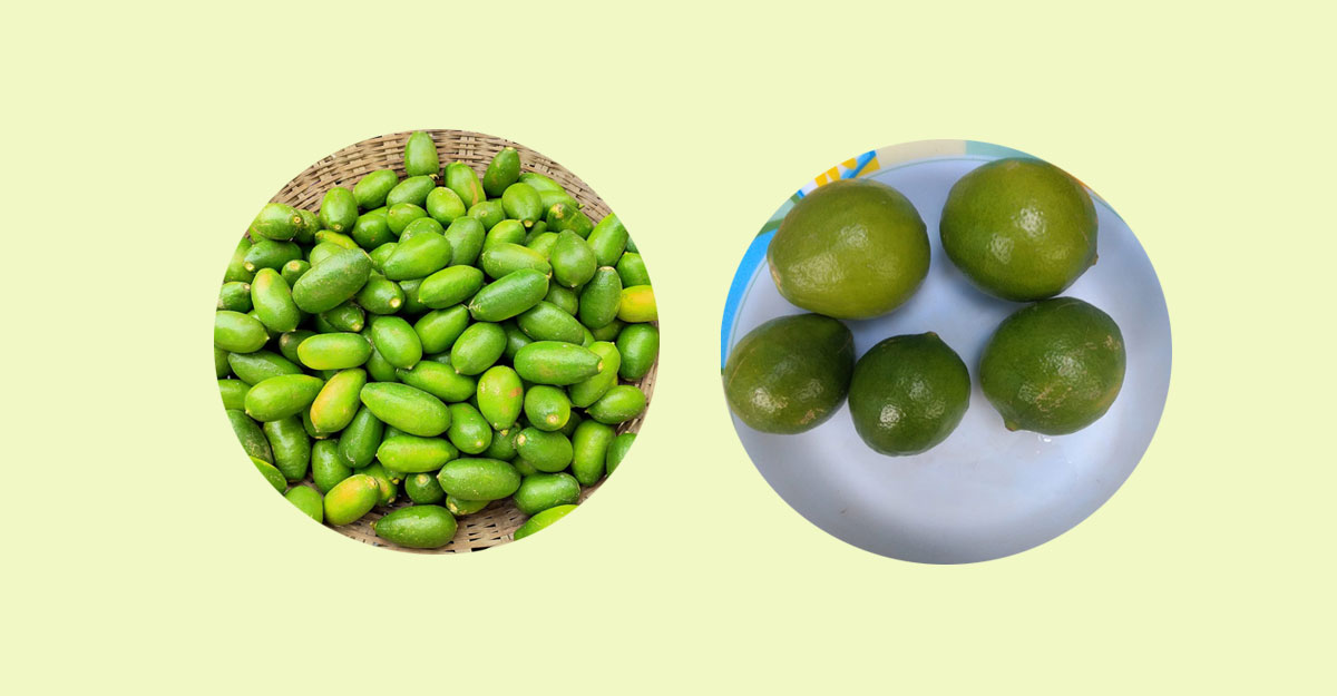 লেবুর চড়া দামে শরবতে গলা ভেজানোও কঠিন