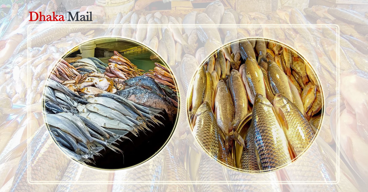 ‘খালি দামই শুনবেন, নাকি মাছও নিবেন?’