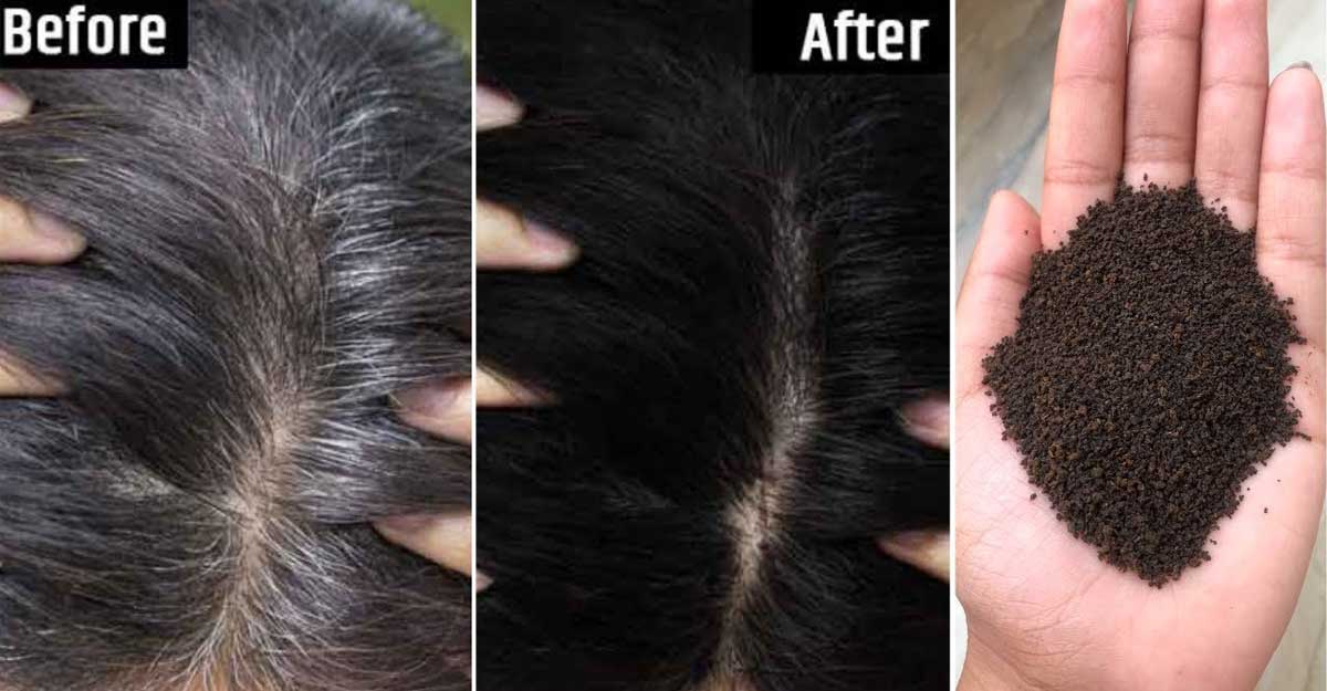 সাদা চুল কালো করে চায়ের লিকার