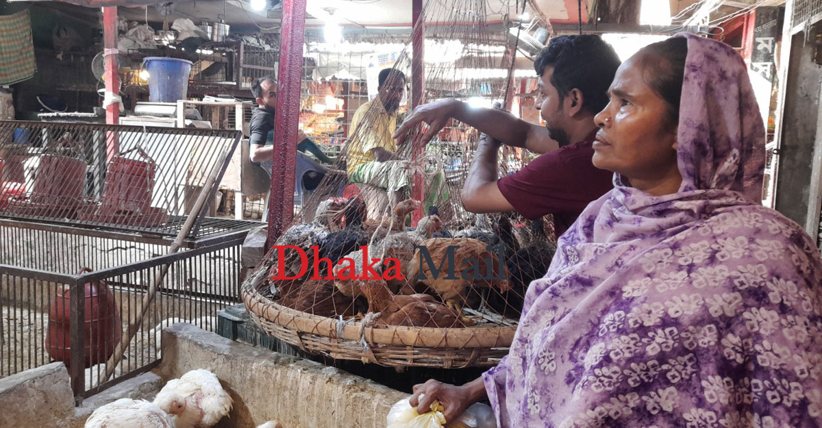 তিন মুরগি ওজন করে একটি কিনলেন সুফিয়া