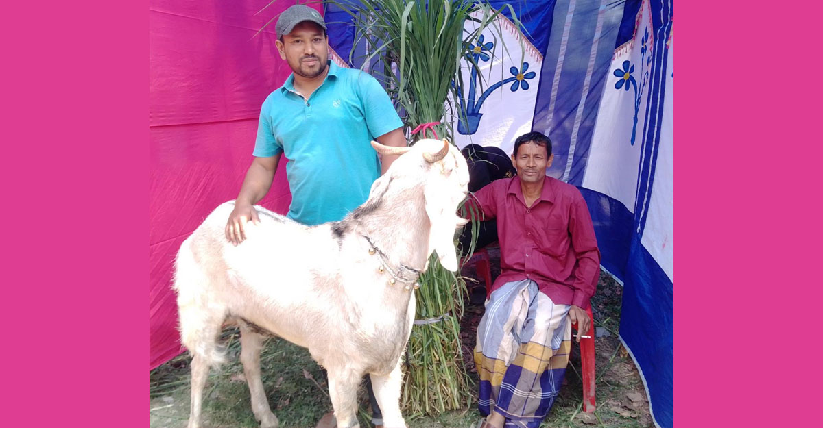 ছাগলের নাম ‘লাট সাহেব’, মূল্য এক লাখ টাকা