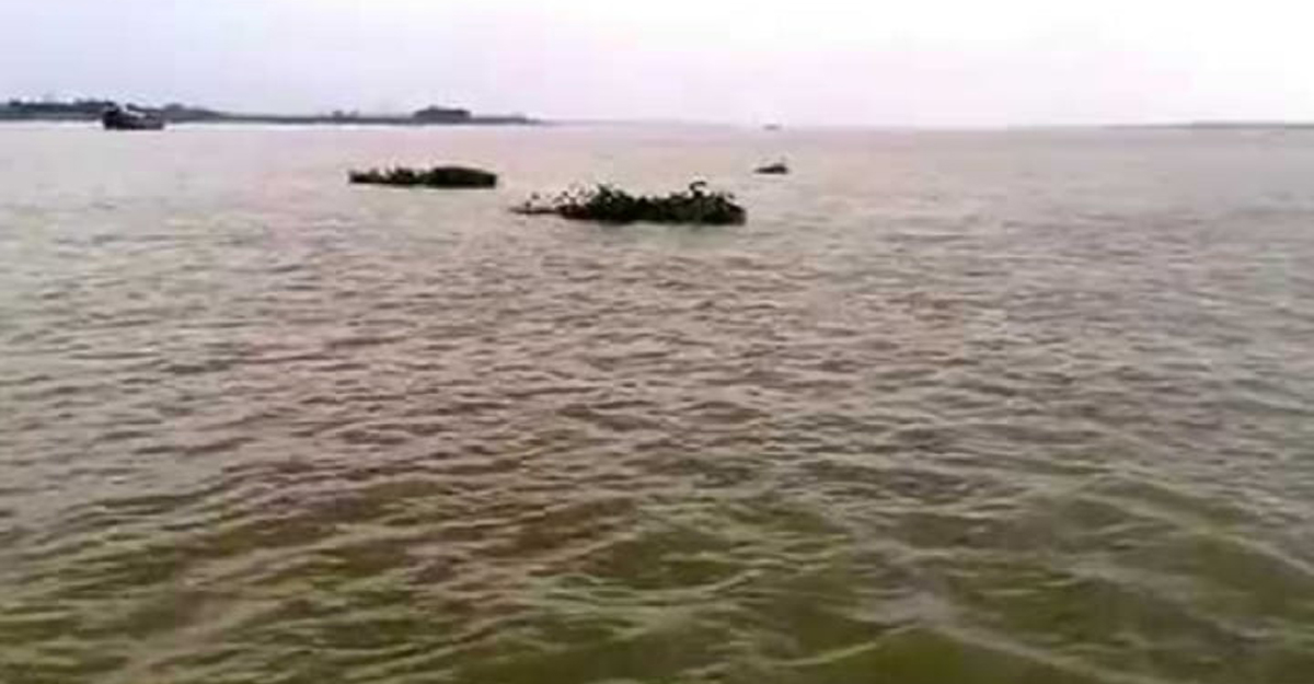 নদী থেকে প্রাণিসম্পদ কর্মকর্তার মরদেহ উদ্ধার