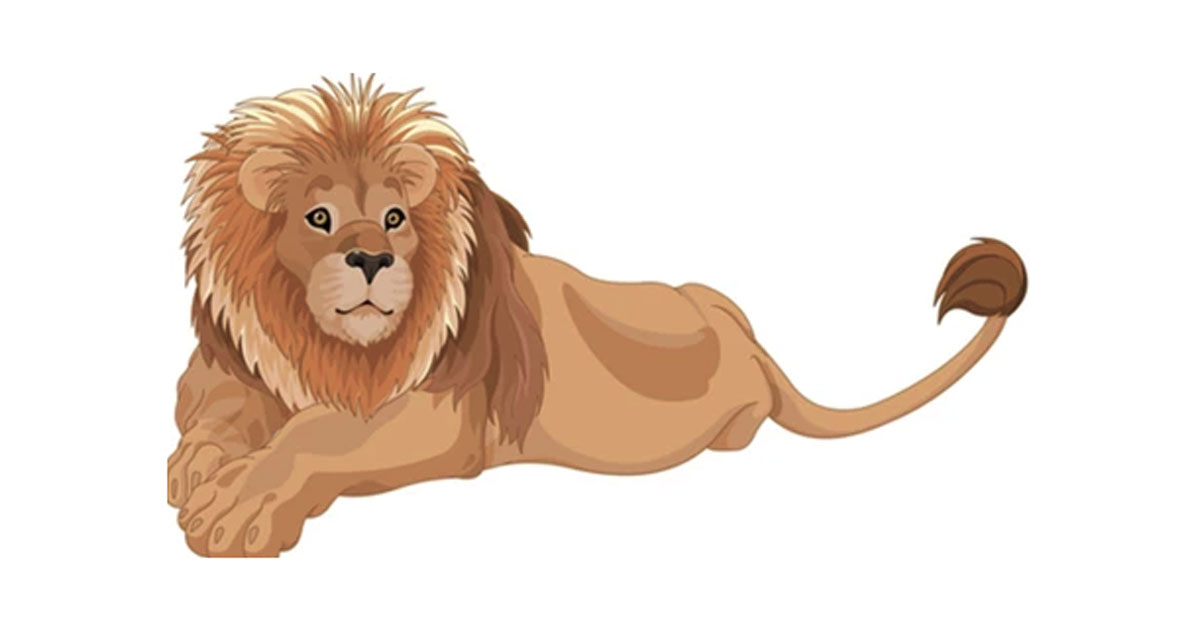 যুবকের ওপর ঝাঁপিয়ে পড়ল দু’টি সিংহ, রক্ষা পেলেন যেভাবে